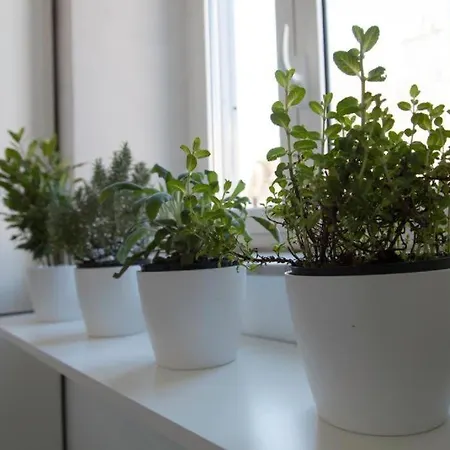 Appartement Magenta Navona Design